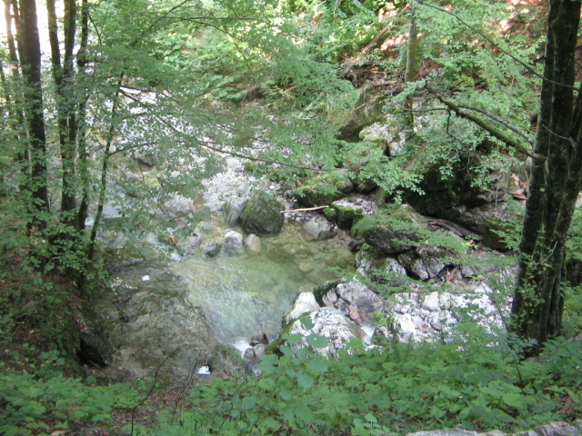 IMG_5534; Spre cascada Oşelu
