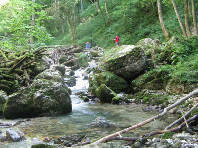IMG_5549; Cheile Boghii
