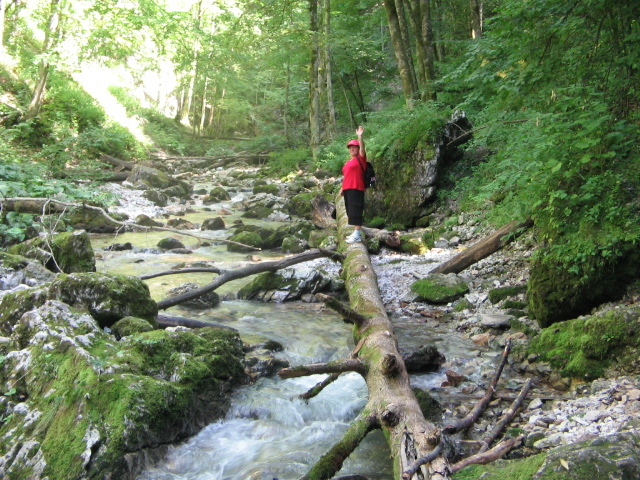 IMG_5551; Cheile Boghii
