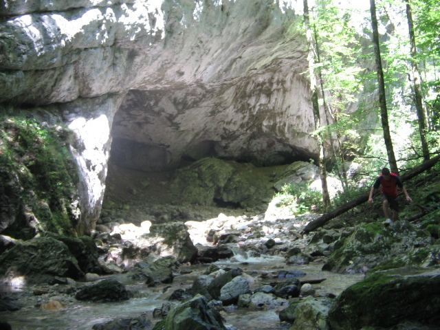 IMG_5559; Cheile Boghii
