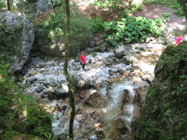 IMG_5565; Cheile Boghii
