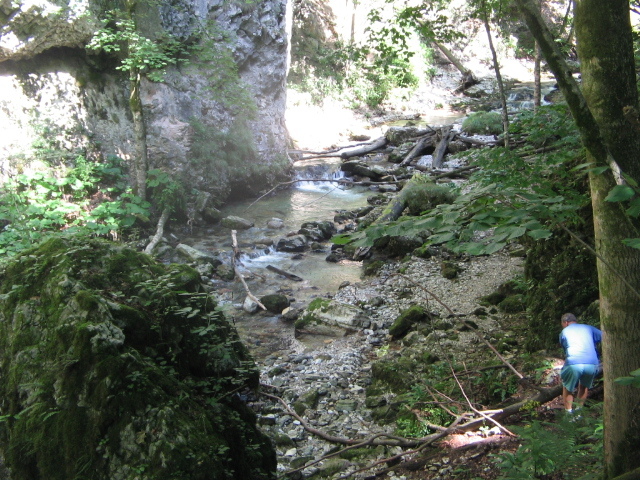 IMG_5566; Cheile Boghii
