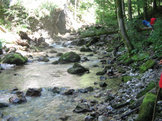 IMG_5570; Cheile Boghii
