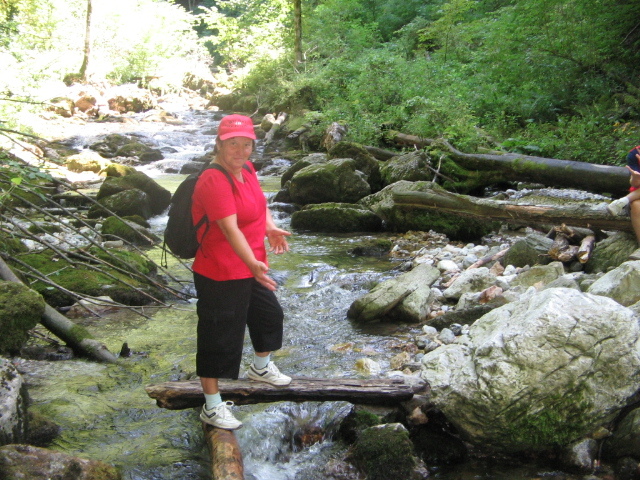 IMG_5575; Cheile Boghii
