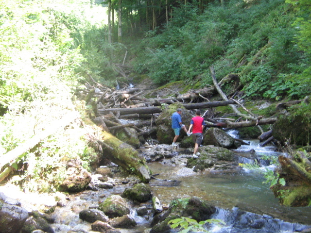 IMG_5582; Cheile Boghii
