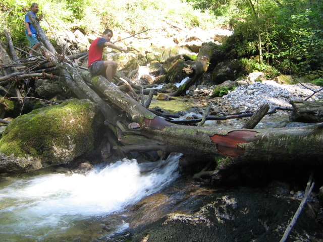 IMG_5585; Cheile Boghii
