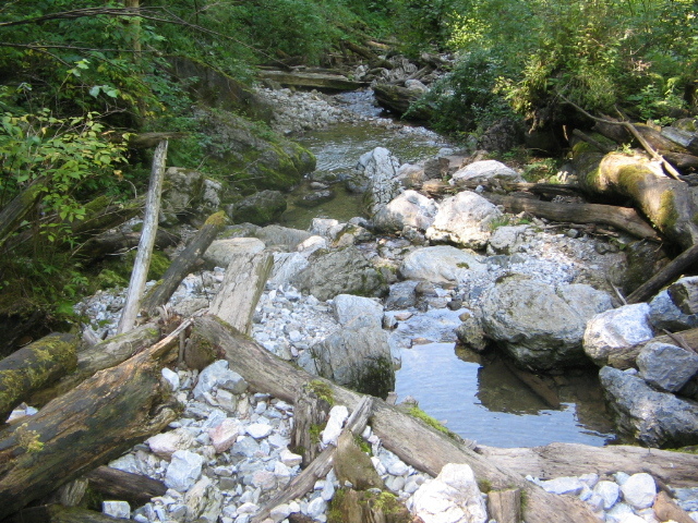 IMG_5595; Aici iese la suprafaţă râul din subteran, din amonte lipseşte debitul în acest sezon.
