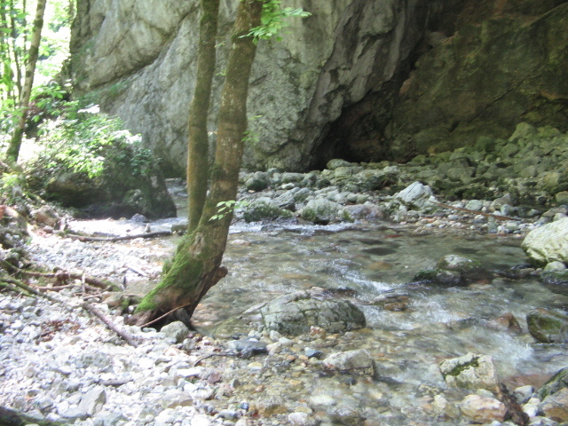 IMG_5608; Cheile Boghii
