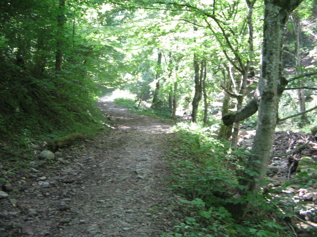 IMG_5616; Spre cascada Bulbuci
