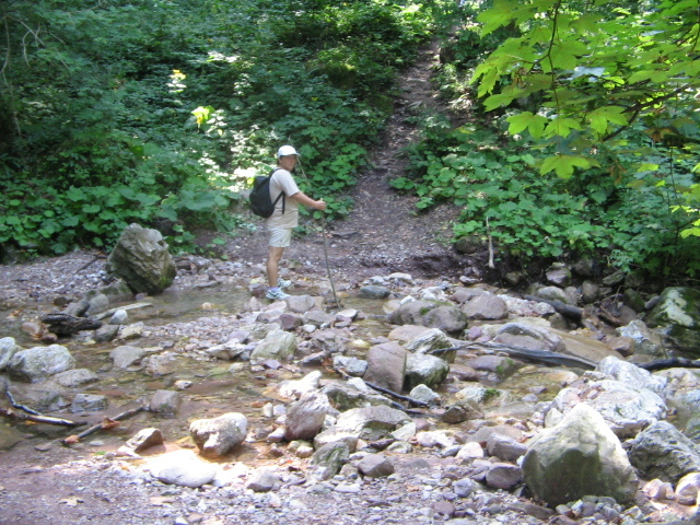 IMG_5617; Spre cascada Bulbuci
