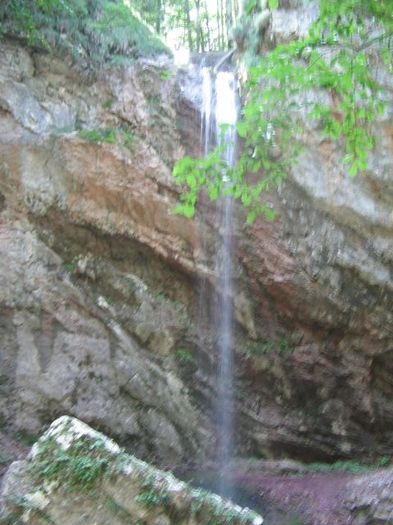 IMG_5628; Cascada Bulbuci
