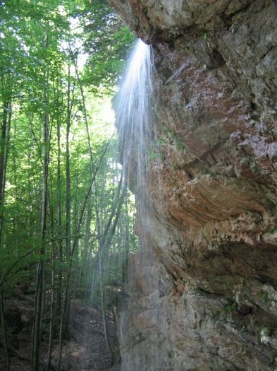 IMG_5650; Cascada Bulbuci
