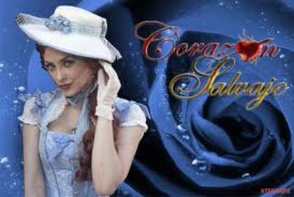 images (24)