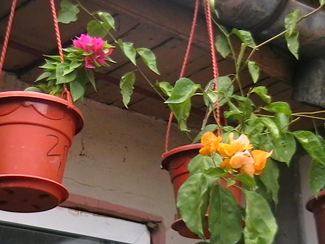 Picture 007