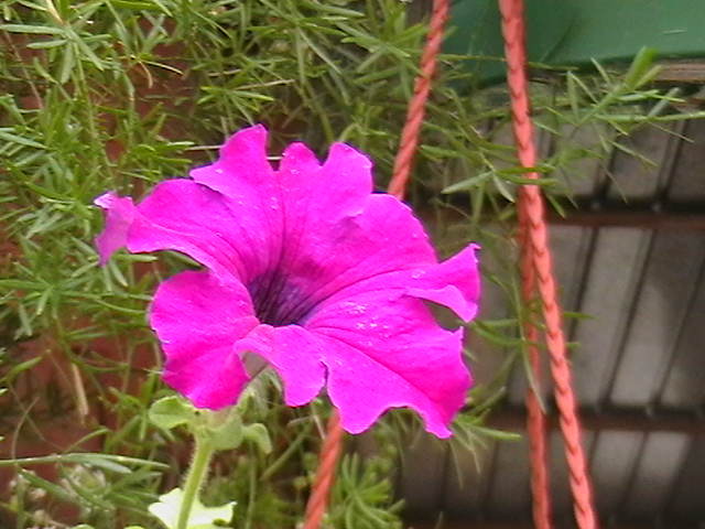 Picture 008