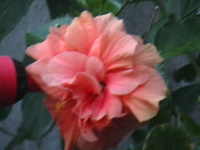 Picture 071