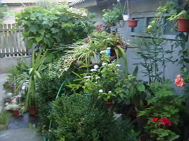 Picture 076