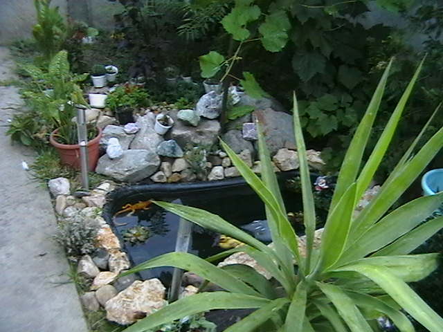 Picture 081
