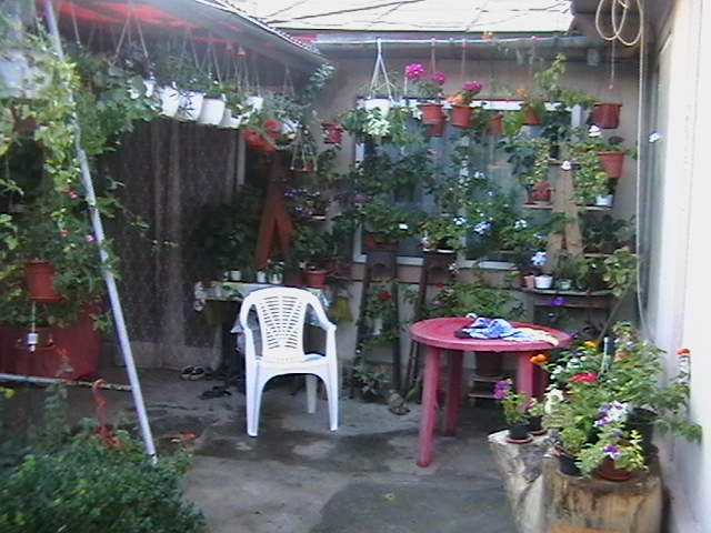 Picture 086