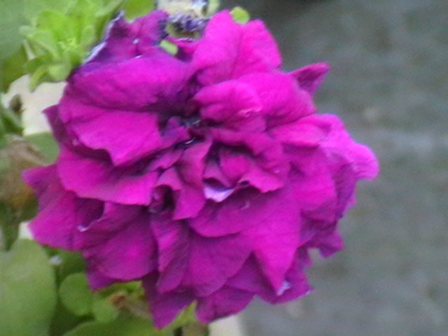 Picture 096