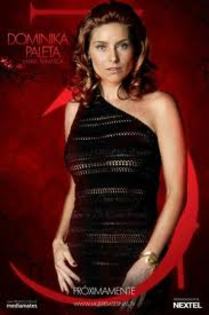 images (38) - Dominika Paleta