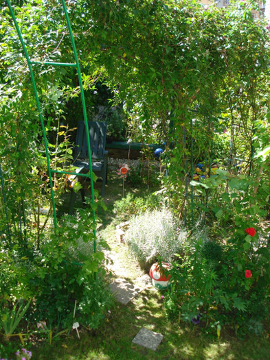 DSC02568 - Gradinuta mea 2011