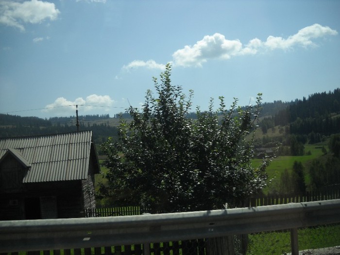 Picture 2592