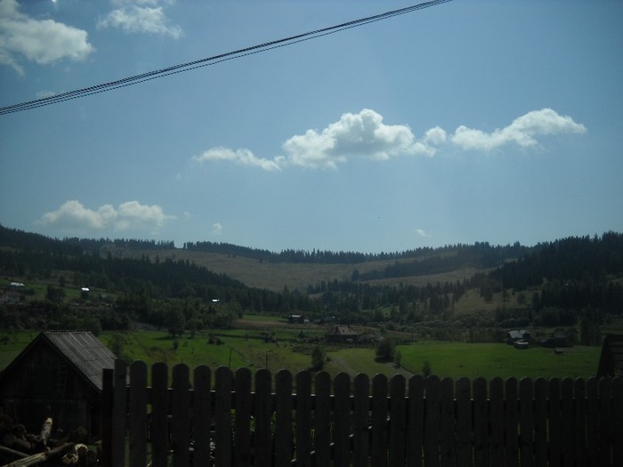 Picture 2593