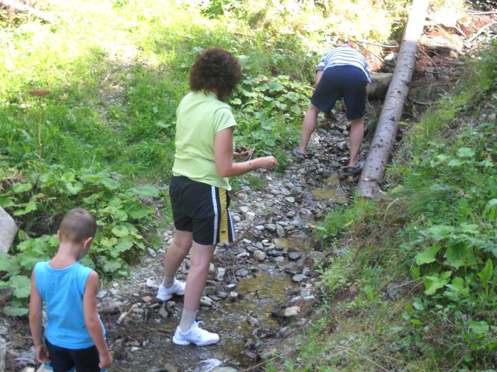 LA VALEA PUTNEI