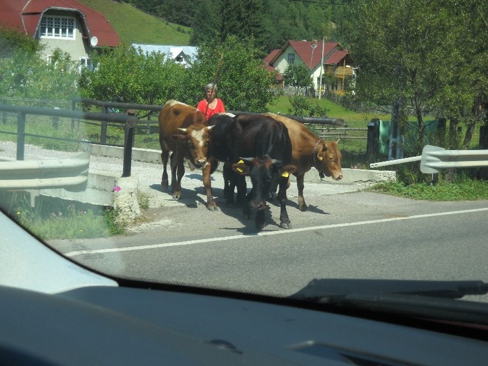 AU EVITAT  CORIDA