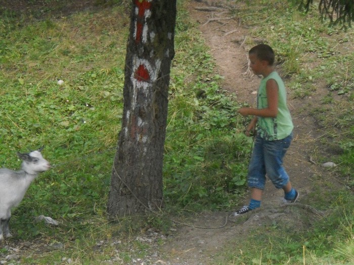 Picture 2672