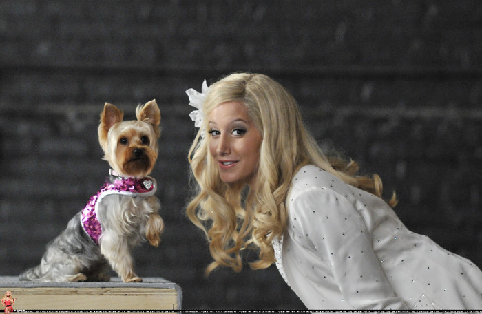 Ashley Tisdale (108)