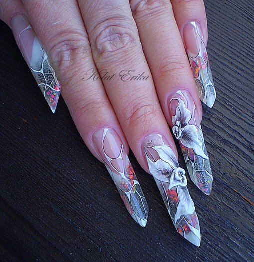 164861_150280281694132_100001364841606_264414_7052244_n