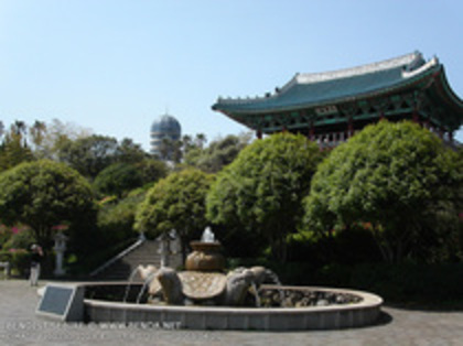 Korea (3)
