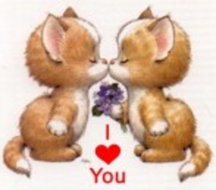 PSUHHLPFY0WWLFXWMMM5J84RL - poze poze