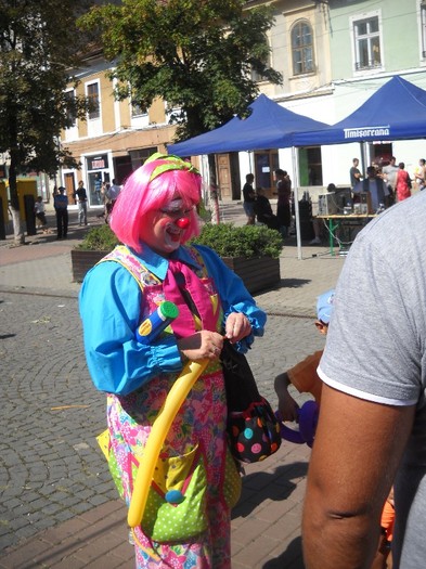 UNA DE UMFLAT BALOANE - TARGUL CETATII BISTRITA