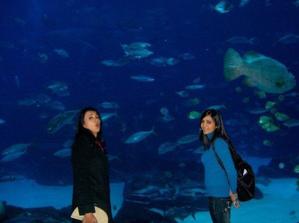250176_110410365715733_100002403090932_102781_6899313_n - xxShilpa Anandxx