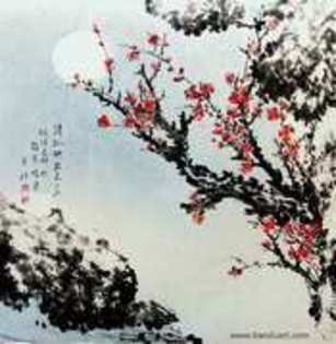 picturi (11) - picturi coreene sau japoneze
