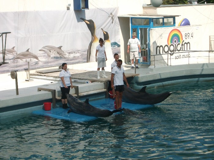 poze 227 - Delfinariu Constanta