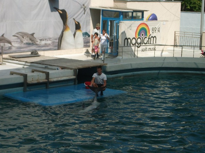 poze 229 - Delfinariu Constanta