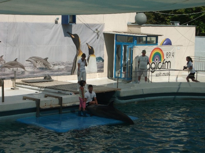 poze 231 - Delfinariu Constanta
