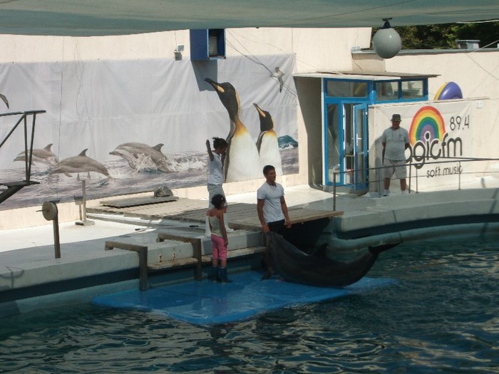 poze 232 - Delfinariu Constanta