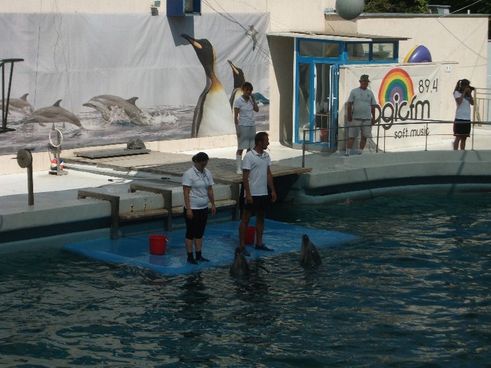 poze 241 - Delfinariu Constanta