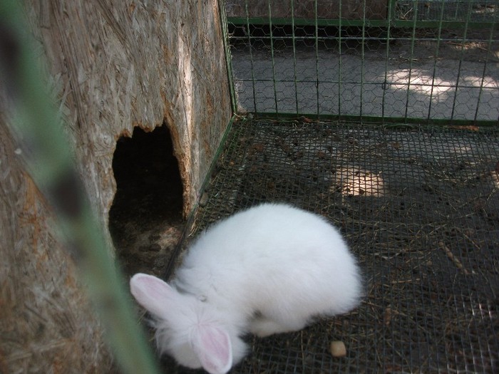 poze 348 - Microrezervatia Delta Dunarii