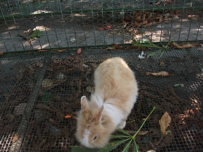 poze 350 - Microrezervatia Delta Dunarii