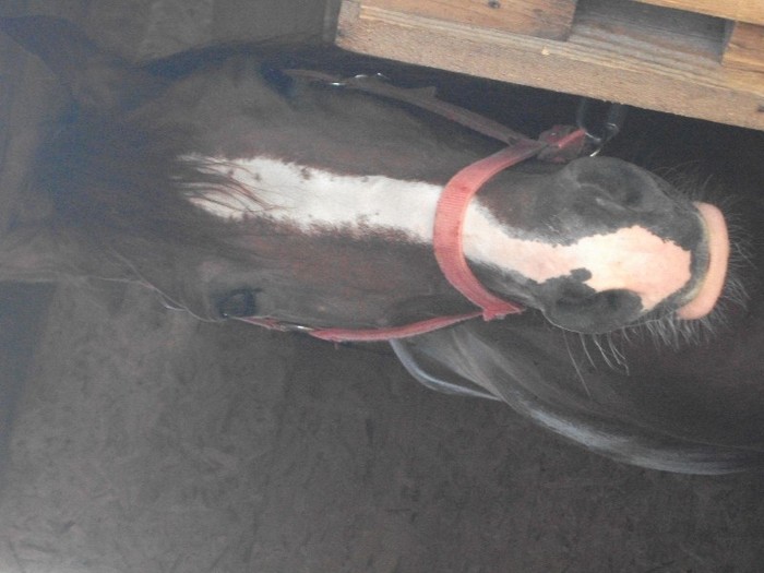 poze 358 - Microrezervatia Delta Dunarii