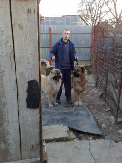 DIXI %u015EI NYKY
