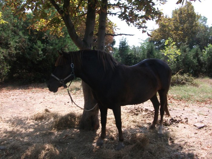 poze 360 - Microrezervatia Delta Dunarii