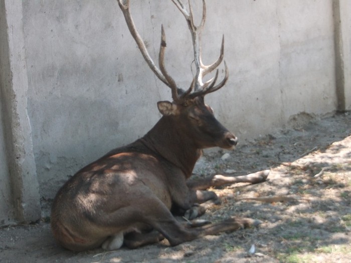 poze 311 - Microrezervatia Delta Dunarii