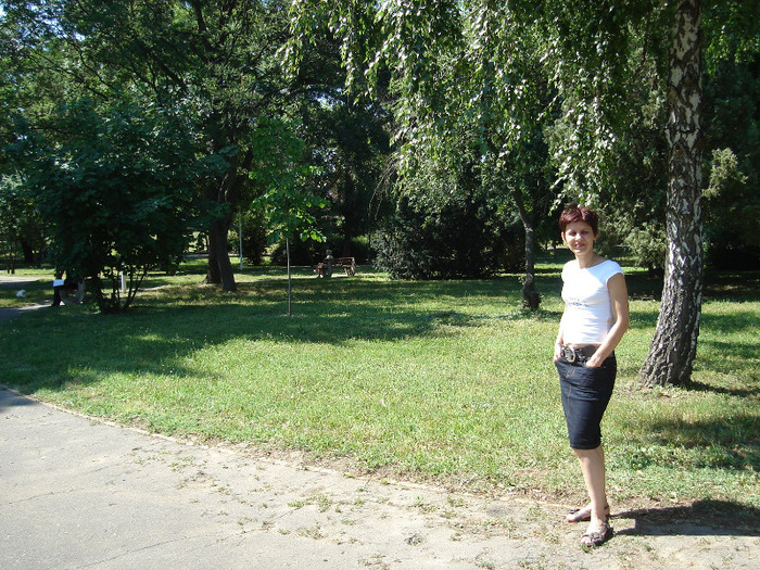 DSC06714 - amalgam foto